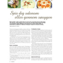 Spis dig udenom eller igennem søsygen